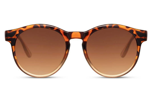 Clubmaster Leopard - SOLBRILLESALG